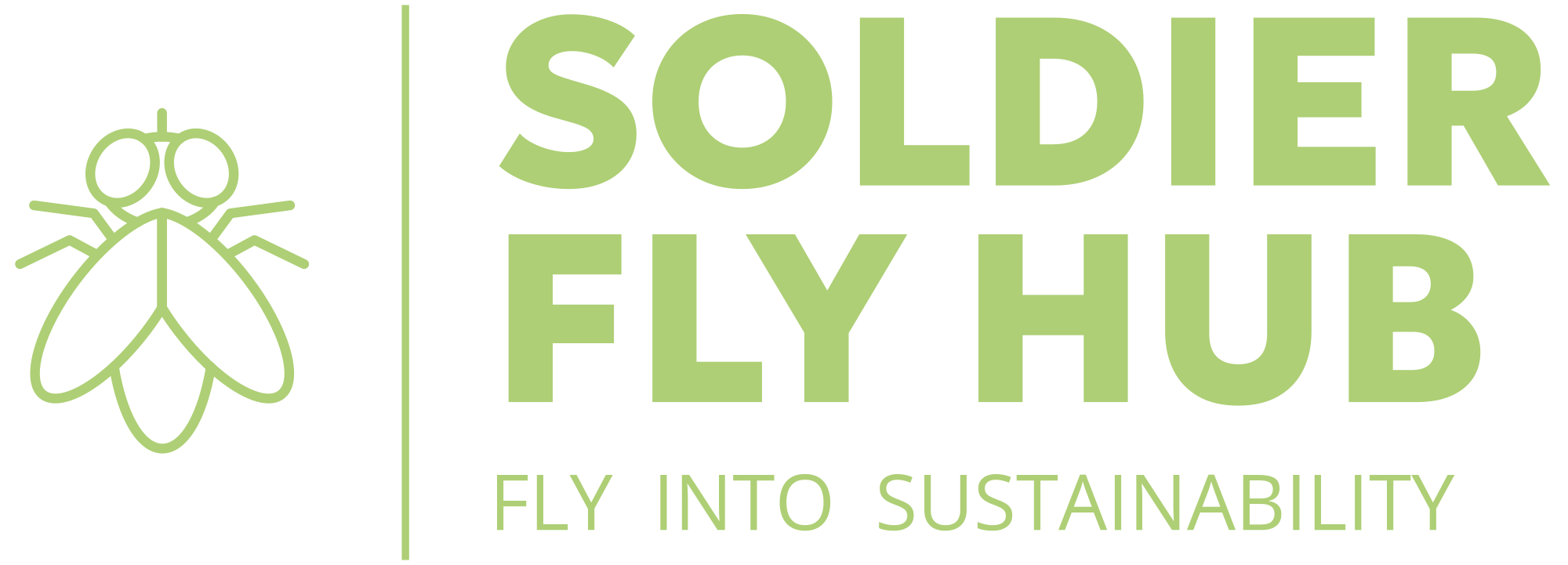 Soldier Fly Hub