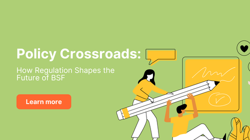 Policy Crossroads: How Regulation Shapes the Future of BSF